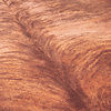 Kohud - Bovine Brun - thumbnail 3