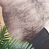 Kohud - Bovine Gråbrun - thumbnail 2